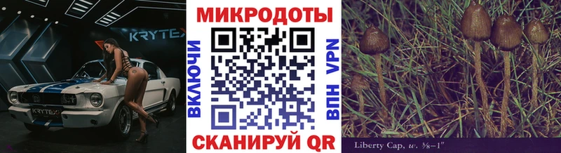 Псилоцибиновые грибы GOLDEN TEACHER  Туран 